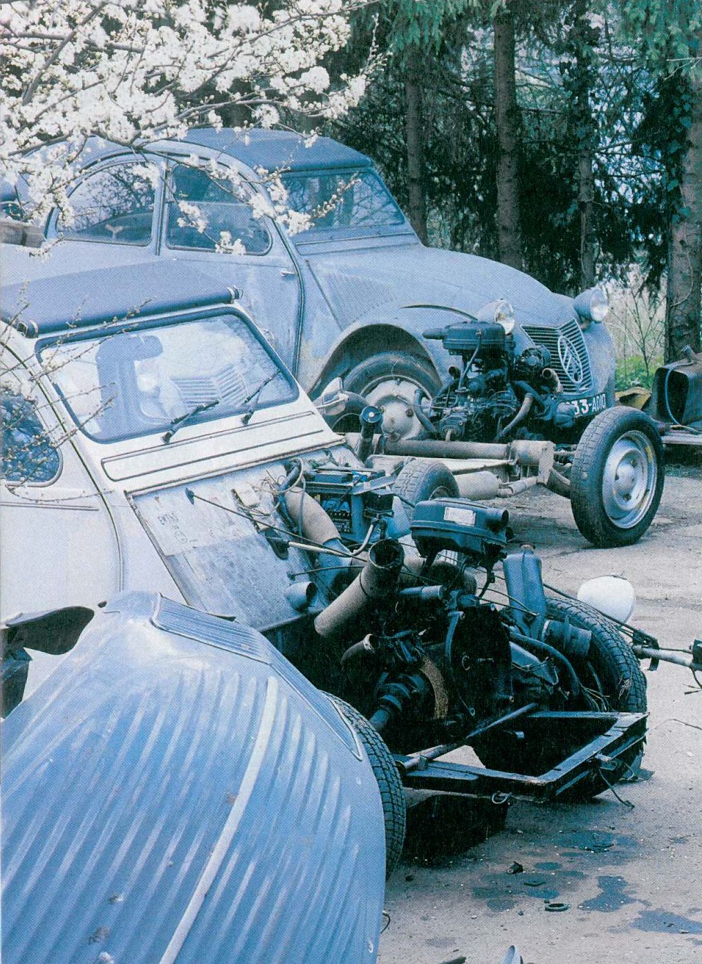2cv