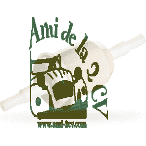 Filtre à essence pour durite en  6 et en 8 mm