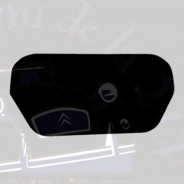 Panneau de porte de Portillon arrière R4 Fourgonnette noir